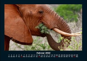 Elefantenkalender 2022 Fotokalender DIN A4