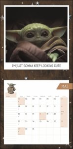 The Mandalorian Broschurkalender 2023. Kleiner Grogu ganz groß: Der Foto-Wandkalender rund um The Mandalorian mit zusätzlichem Poster, Platz für Termine und lustigen Zitaten.