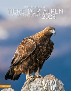 Tiere der Alpen Kalender 2023