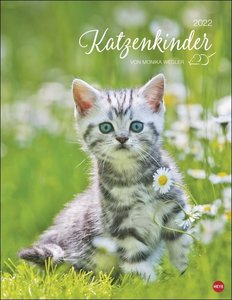 Katzenkinder Posterkalender 2022