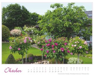 Im Rosengarten 2025 - DUMONT Garten-Kalender - Querformat 52 x 42,5 cm - Spiralbindung