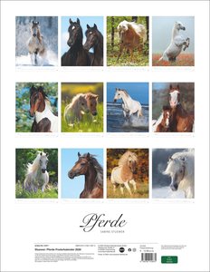 Pferde Classics Posterkalender 2026