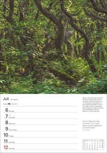 Sylt Wochenplaner 2026 - Eine Reise in 53 Bildern