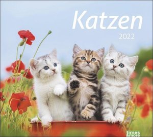 times&more Katzen Bildkalender 2022