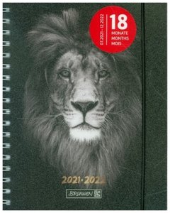 Schülerkalender 2021/2022 (18 Monate) Lion, A6