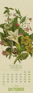 Wildwuchs - Botanische Illustrationen - Graspapier-Kalender 2022