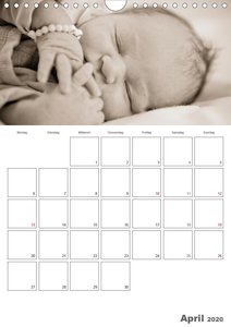 Emotionale Momente: Mein Babyplaner für das ganze Jahr / Planer
