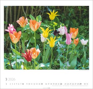 Bauerngärten Kalender 2026