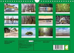 Mythos Amazonas - Naturparadies Brasiliens (Wandkalender 2023 DIN A4 quer)