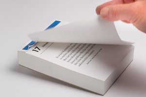 Katzen. Der literarische Tageskalender 2024