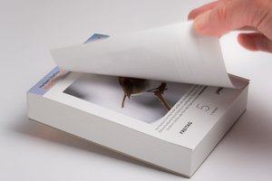Vogelkalender 2024  - Tagesabreißkalender zum Aufstellen oder Aufhängen