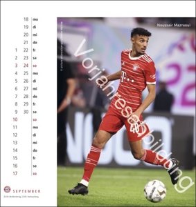 FC Bayern München Postkartenkalender 2024
