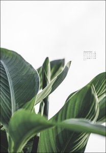 Mareike Böhmer: pure & simple Kalender 2024. Die Fotos der bekannten Designerin in einem minimalistisch-schönen großen Wandkalender. Posterkalender mit Pflanzen-Motiven.
