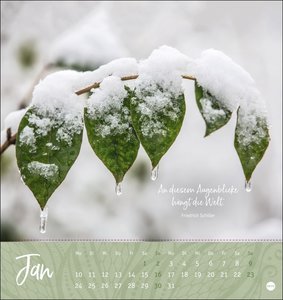 Ich wünsch dir ... Zeit zum Träumen Postkartenkalender 2022