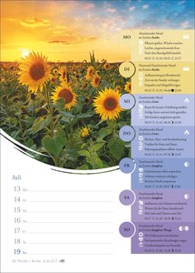 Mondkalender Wochenkalender 2026