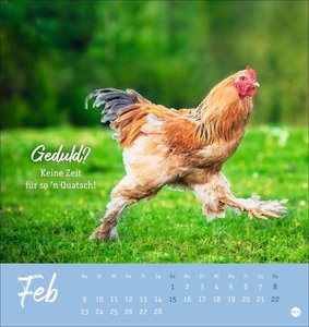 Hühner Postkartenkalender 2026