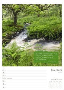Magie des Waldes Wochenplaner 2024. Kalender mit Fotos, die die Schönheit des Waldes meisterhaft zur Geltung bringen. Praktischer Wandplaner mit hochwertigen Naturaufnahmen