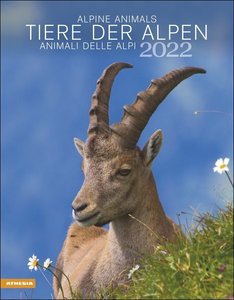 Tiere der Alpen  - 2022
