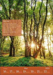 Literaturkalender Im deutschen Wald 2022