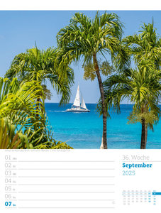 Reiseträume - Wochenplaner Kalender 2025