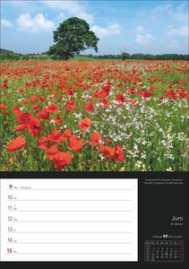 Colourful World Wochenplaner 2025