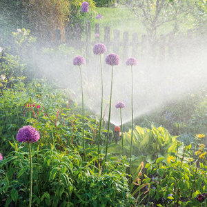 Gute Laune Garten 2022