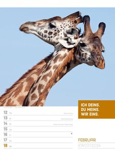Tierisch! Sprüchekalender - Wochenplaner Kalender 2024