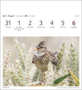Heimische Vögel Postkartenkalender 2023