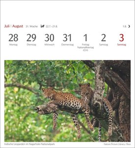Farben der Natur Postkartenkalender 2025 - Wochenkalender mit 53 Postkarten
