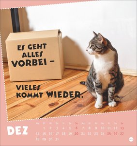 Mach mal Pause Postkartenkalender 2026