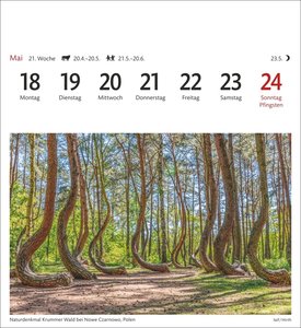 Traumziele Sehnsuchtskalender 2026