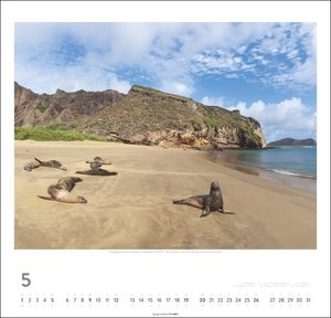 Galapagos Kalender 2024. Atemberaubende Fotos der Galapagosinseln und ihrer Wildtiere in einem Wandkalender 2024 Großformat. 48 x 46 cm