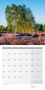 Bäume Kalender 2023 - 30x30