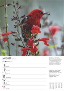 Wunder der Natur Wochenplaner 2024. Wunderschöne Naturfotos in einem praktischen Terminkalender zum Aufhängen. Übersichtlicher Wochenplaner für die Wand
