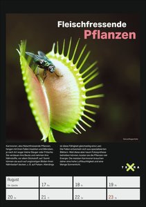 Terra X - Das Wunder Erde Wochenplaner 2026