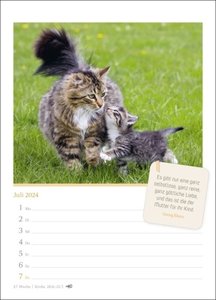 Katzenglück Wochenkalender 2024. Jede Woche eine süße Katze in dem kleinen Fotokalender. Passende Zitate und niedliche Fotos machen diesen Wandkalender zum echten Blickfang!