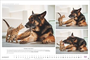 Whiskas Katzenkalender 2026