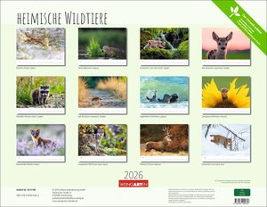 Heimische Wildtiere 2026
