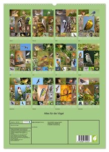 Alles für die Vögel (hochwertiger Premium Wandkalender 2024 DIN A2 hoch), Kunstdruck in Hochglanz