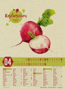 Saisonkalender - Obst & Gemüse - Graspapier-Kalender 2023