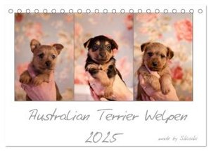 Australian Terrier Welpen (Tischkalender 2025 DIN A5 quer), CALVENDO Monatskalender