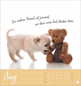 Ziemlich beste Freunde Postkartenkalender 2026