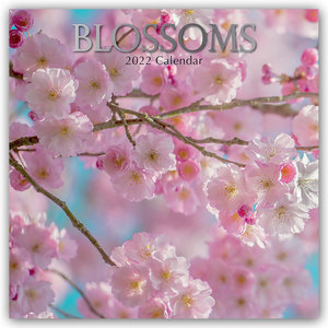 Blossoms - Blüten 2022 - 16-Monatskalender