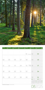 Zauber des Waldes Kalender 2025 - 30x30