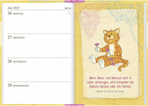 Om-Katze: Bloß kein Stress! Taschenkalender 2023