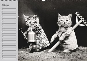 Katzen und Hunde - Nostalgie auf Pfoten (Wandkalender immerwährend DIN A2 quer)