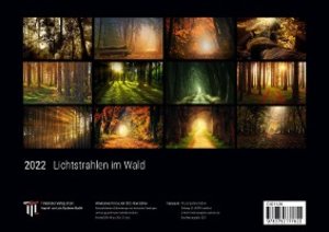 Lichtstrahlen im Wald 2022 - Black Edition - Timokrates Kalender, Wandkalender, Bildkalender - DIN A4 (ca. 30 x 21 cm)