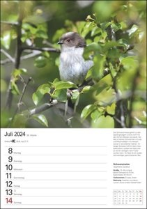 Heimische Vögel Wochenplaner 2024. Wochenkalendarium, Infos zu den porträtierten Vogelarten und viel Platz für Termine in dem praktischen Wand-Kalender 2024 zum Eintragen