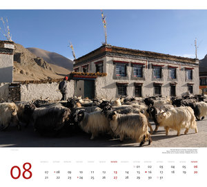 Tibet 2023