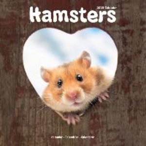 Hamsters - Hamster 2023 - 16-Monatskalender